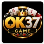 KO37 Game