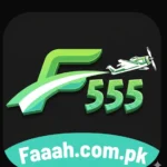 F555 Game